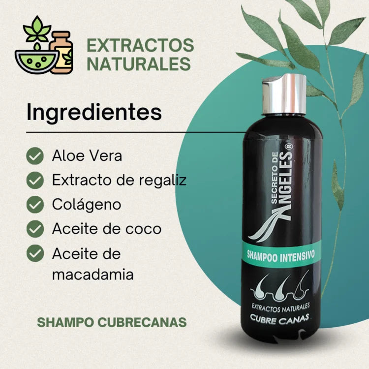 🧴 Compra 1 Shampoo Secretox y Llévate otro de 280ml + 1 Esfoliante ¡GRATIS! ⚡