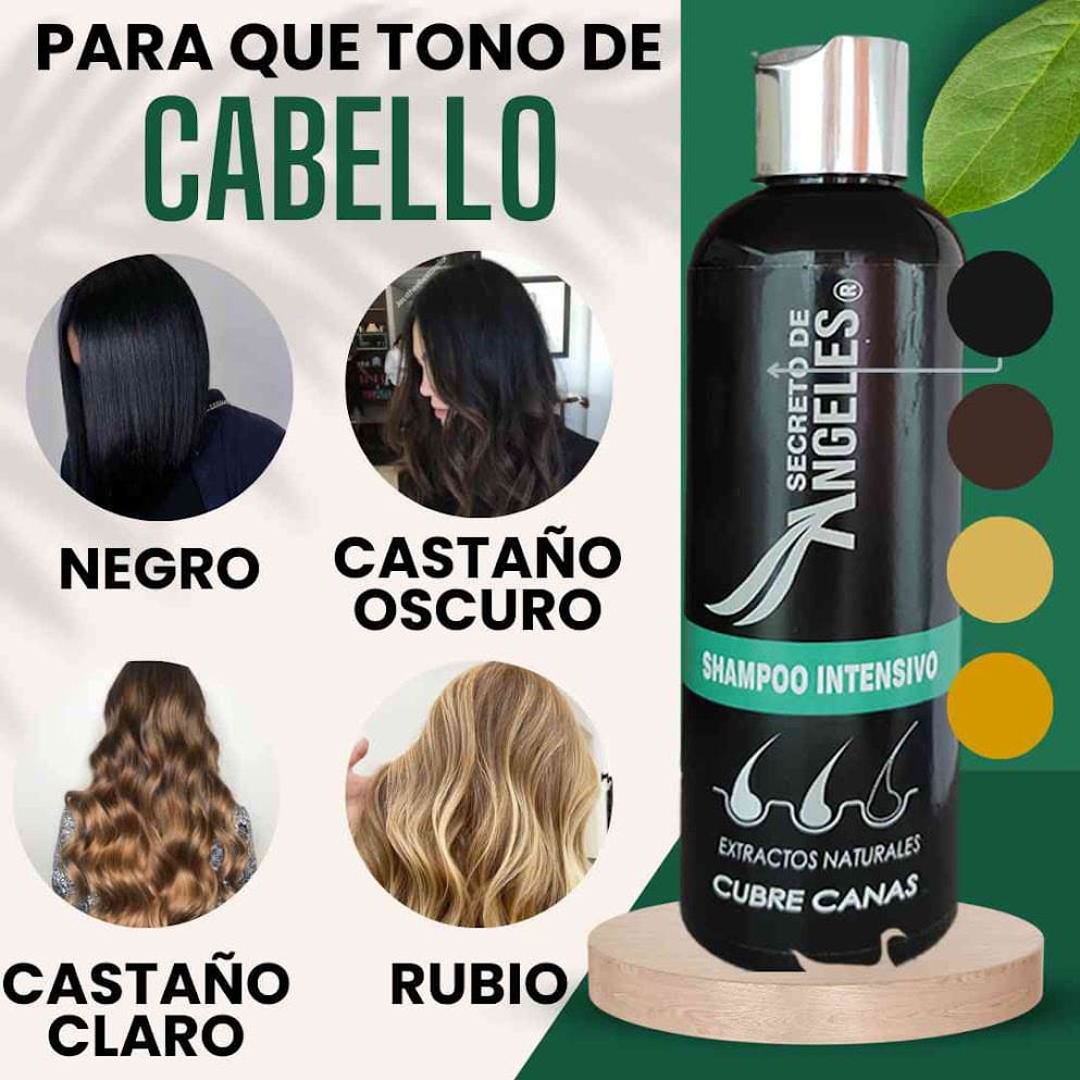 🧴 Compra 1 Shampoo Secretox y Llévate otro de 280ml + 1 Esfoliante ¡GRATIS! ⚡