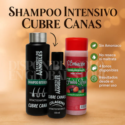 🧴 Compra 1 Shampoo Secretox y Llévate otro de 280ml + 1 Esfoliante ¡GRATIS! ⚡